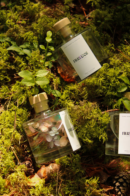 Moon Reed Diffuser